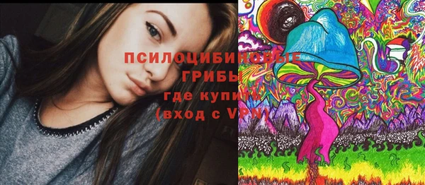 a pvp Алзамай