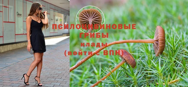 a pvp Алзамай