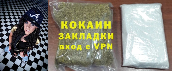 тгк Пересвет